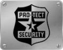 Pro-Tect Security logo